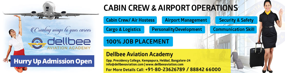 DELBEE AVIATION ACADEMY