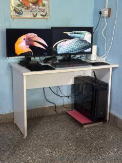 Ultimate Data Science & Creative Workstation PC with Dual Monitor (Negotiable Price)