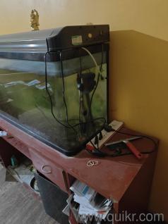 aquarium with wooden table 