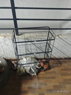 4 door wardrobe, steel almirah, shoe rake, 6" Queen size mattress, washing machine 