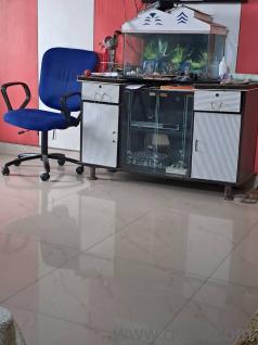 Gently used Table cum showcase for TV base