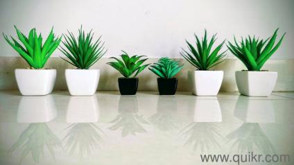 Set of 6 Mini Artificial Succulent Plants in Ceramic Pots  Perfect for Home & Office Decor