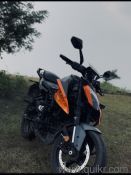 KTM Duke 250 - 2024
