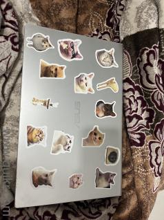 Asus Vivobook Intel (R) Core(TM) i3-1005G1 CPU @ 1.20GHz