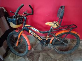 ZINGA  HOPPER  2 Years old 