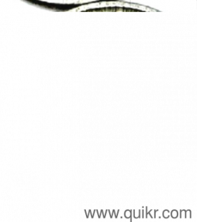 10 Rare Coins for sell but without pay any fees or Charges in Advance. 