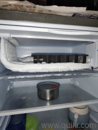FRIDGE - LLOYD Brand