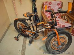 TONY BICYCLE FLYING STAR 2D KIDS AGE 3-8