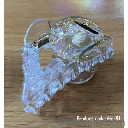 Imported ladies accessories, hair clips for "Guaranteed lowest prices"