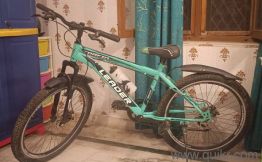 Leader Torfin Bicycle 