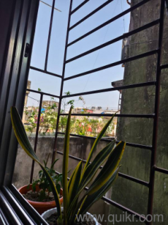 Home and Lifestyle