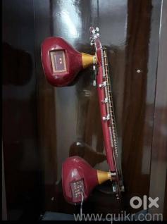 Radel electronic veena 