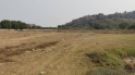 87120 Sq. ft Plot for Sale in Chinthagattu, Warangal