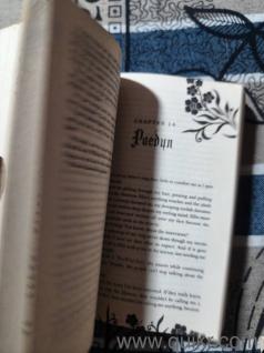Powerless by Lauren Roberts - Almost Like New
