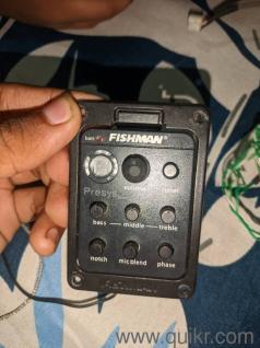 Fishman pressys blend 301