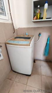 Samsung 6.0 kg Fully Automatic Top Load Washing Machine (Diamond Drum)