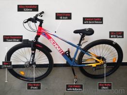 Schnell bicycle 