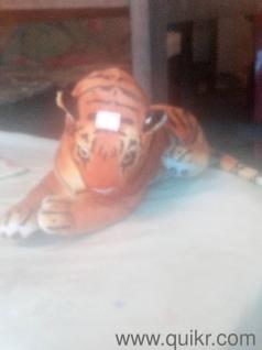 tiger doll