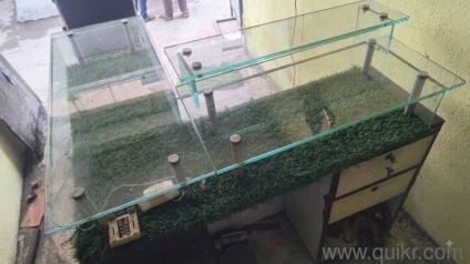 Heavy Duty Shop Display Counter (Urgent Sale)Glass Display Counter for Retail Shop 