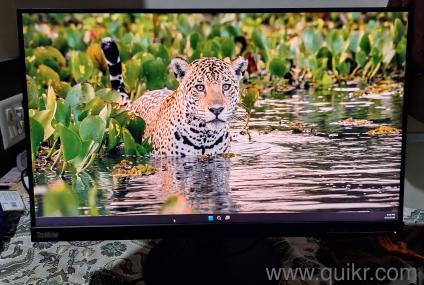 Lenovo ThinkVision T24i-10 23.8" FHD IPS Monitor | HDMI | DP | VGA