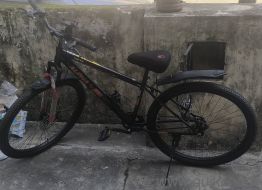 Brand new cycle 