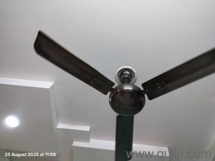 Metallic Ceiling Fan For Sale by a lady