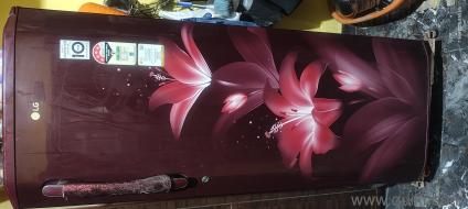 Lg single door refrigerator in excellent condition 