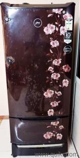 Godrej RD Edge Duo 225 L