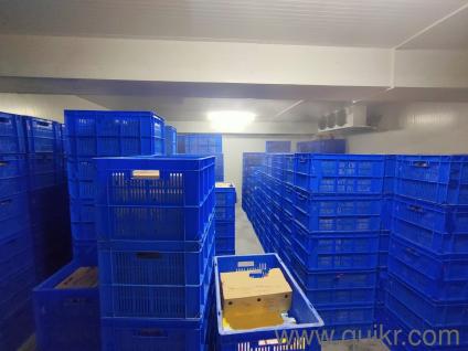 Cold  room / cold storage / -25  freezer / frozen /horeca/ ice cream/ freezer room/ vegetables/ baby corn/ French fries