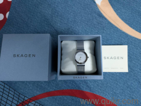 Original Skagen Ladies Watch 358SSSD New Condition 