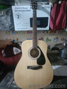 Acoustic Guitar