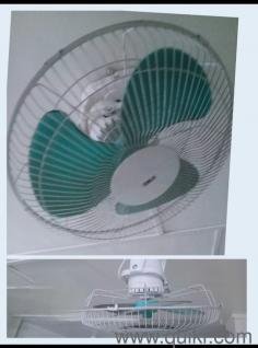 Self Rotating ceiling fan 
