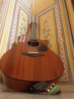 westwood model GC-8M with beg and all ansencries 