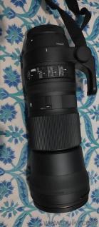 Sigma 150-600 Canon Mount