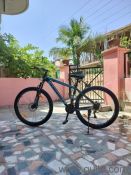 21 gears, fully serviced and in excellent condition..