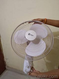 Hom Wall Fan