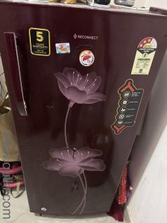 Reconnect - Single Door Fridge