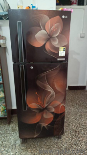 LG 260L Linear Inverter Fridge Double Door
