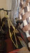 Cycle used one but in good and neat condition 