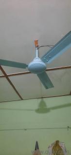 calling fan which is almost new with all documents and warranty card