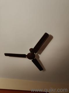 Ceiling Fan in working condition