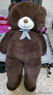 Teddy bear 