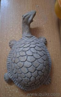 Lucky Tortoise