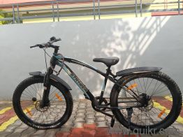Stryder cycle