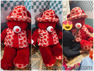 5 Feet Giant Teddy Bear  Almost New  5 Days Used 