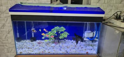 Aquarium fish tank 2.5 ft length, wide-1.5 ft , height 1.5 ft