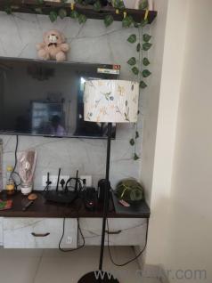 Home and Lifestyle