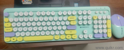 Zebronics companion 301 wireless keyboard and mouse