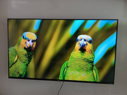 BPL 55 inch