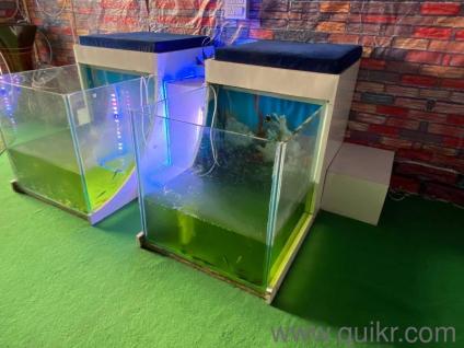 complete pedicure setup tanks and RO filtration system 